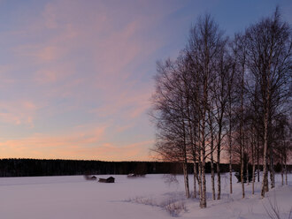 Fujifilm GFX100s_bloggs.jpg