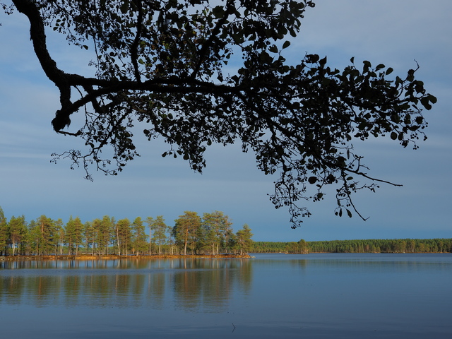 Om System OM5_2w.jpg