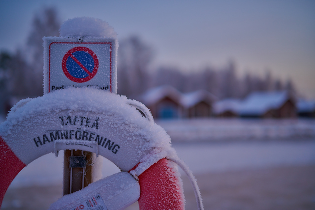 Nikon Z 50 f1.2_20w.jpg