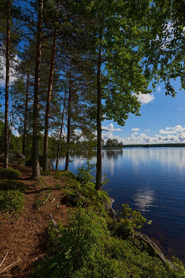 Sony 11mm f1.8_24w.jpg