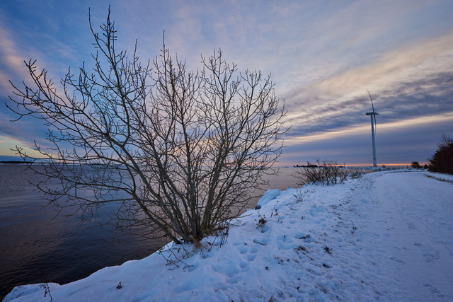 Canon RF 15-30_9w.jpg