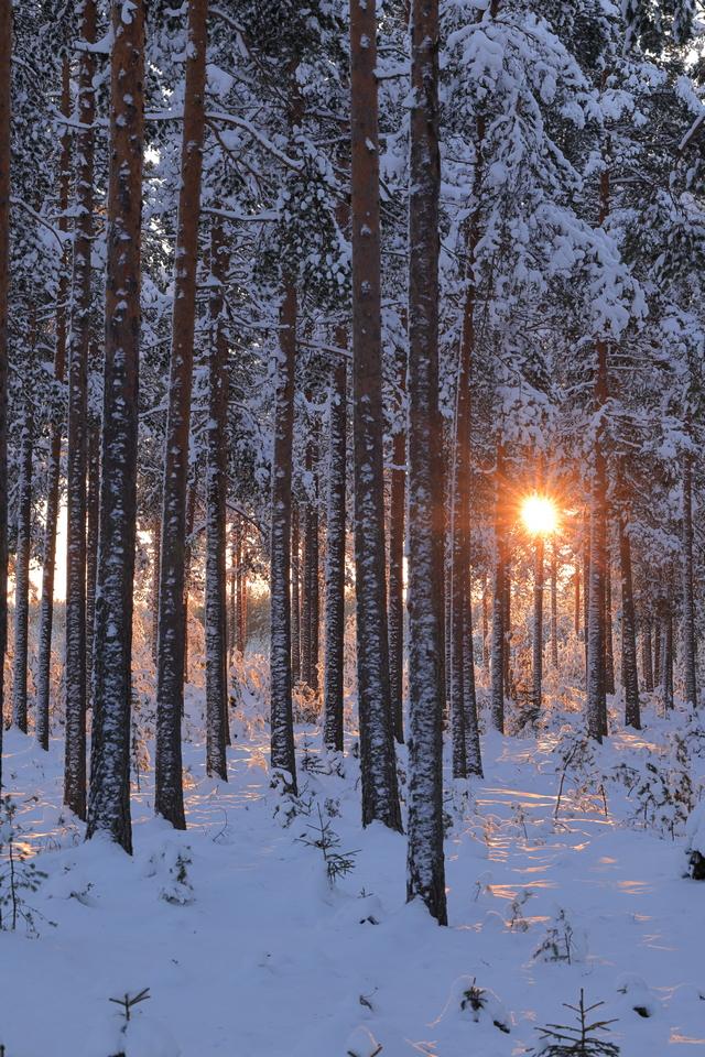 Canon EOS R3_32w.jpg