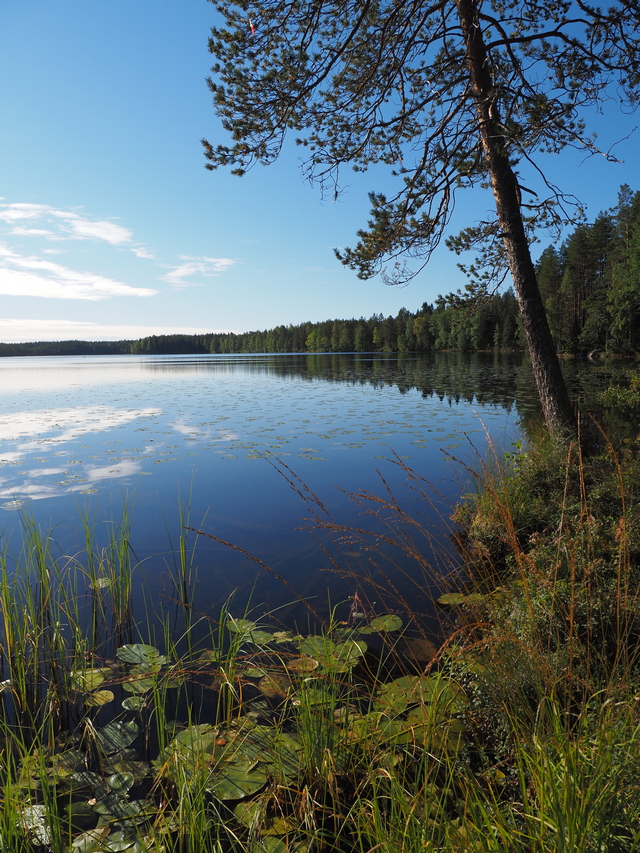 Olympus E-M10 IV_19w.jpg