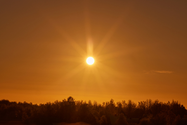 Canon RF 135 f1.8_22w.jpg