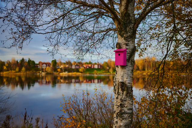 Nikon Z 40mm f2_4w.jpg