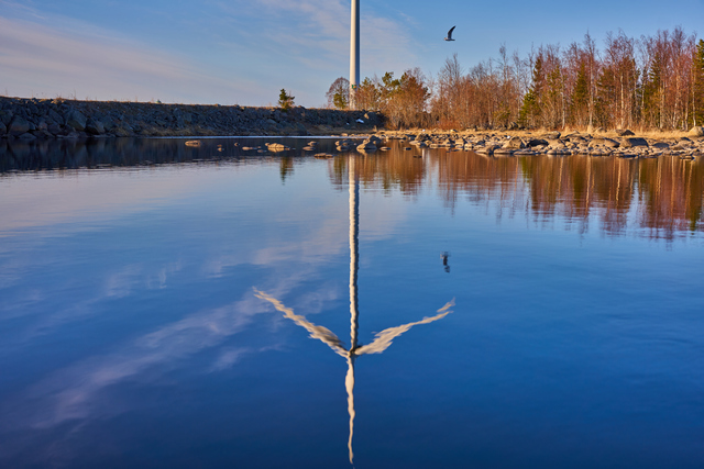 Sony 50mm f2.5_2w.jpg