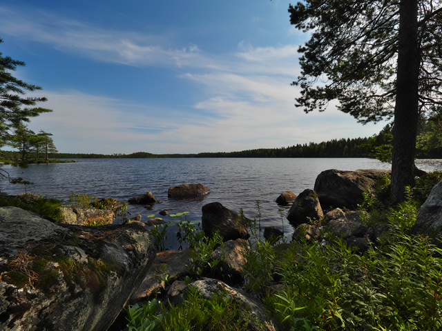 Panasonic GH5 II_2w.jpg