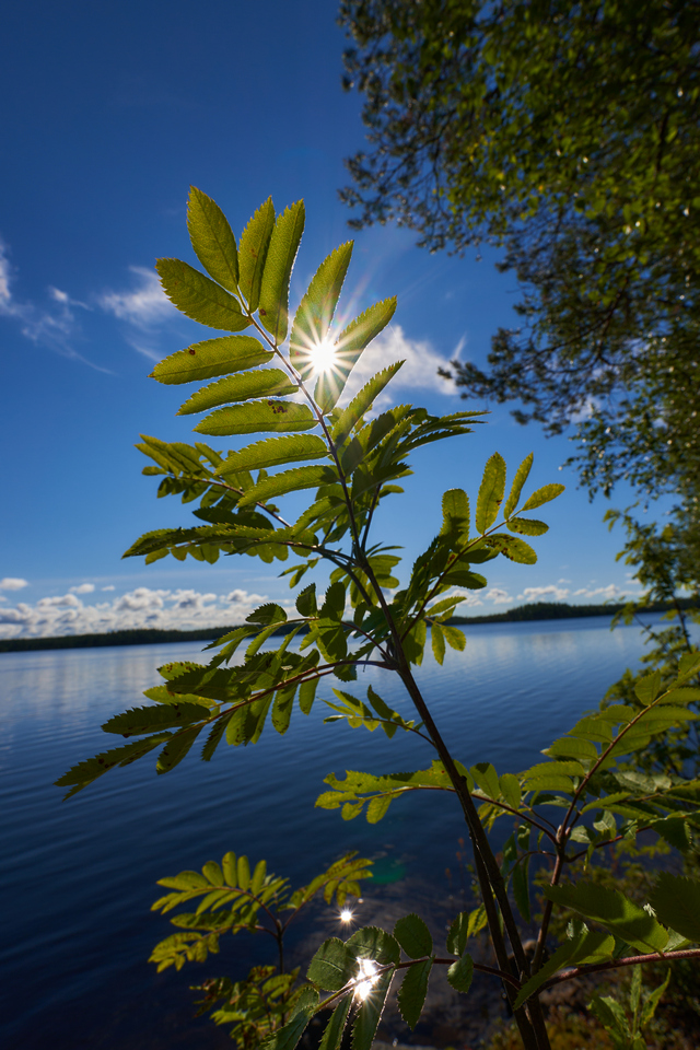 Sony 11mm f1.8_22w.jpg