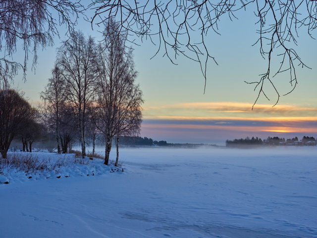 OM System 20mm f1.4_16w.jpg