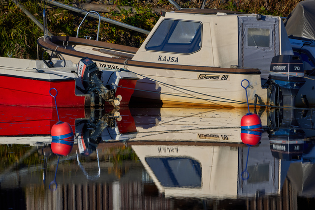 Canon RF 600f11w.jpg