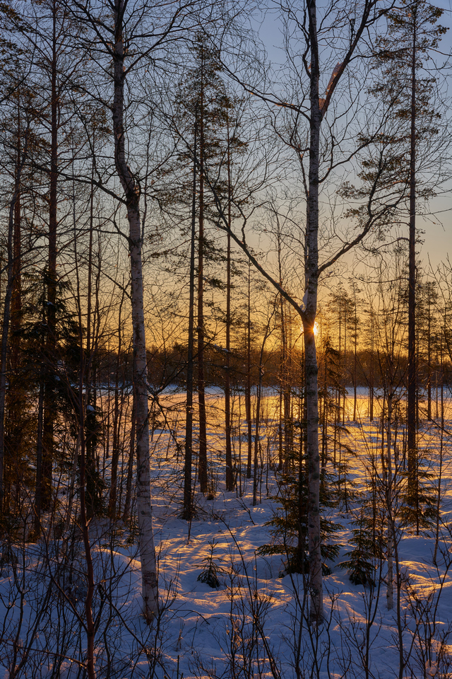 sigma 24-70 art sony_9w.jpg