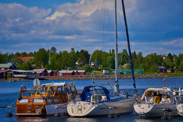 Tamron 150-300_18w.jpg