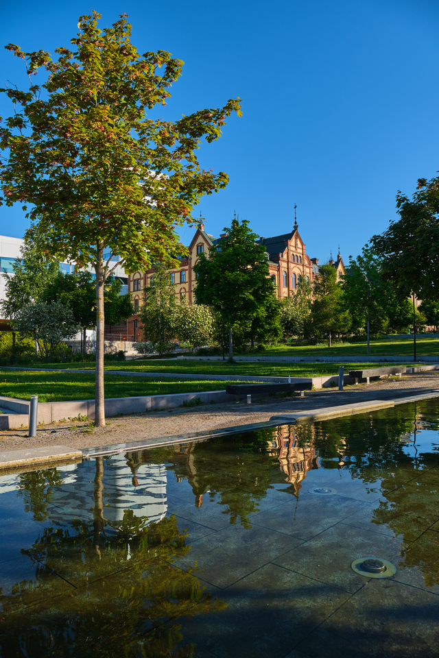 Tamron 17-70 f2.8 XF_6w.jpg