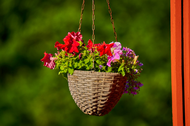 Sigma 150-600 DN_22w.jpg