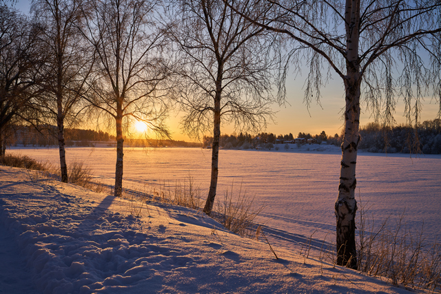 Samyang V-AF 35mm f1.8_4w.jpg