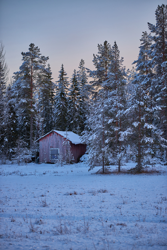 Canon RF 85_1,2 L USM DS_13w.jpg