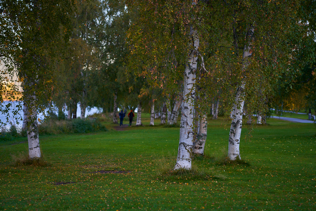 Sigma 90mm f2.8 DN_7w.jpg