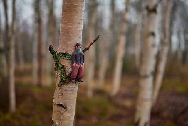 Panasonic S 50mm f1.4_15w.jpg