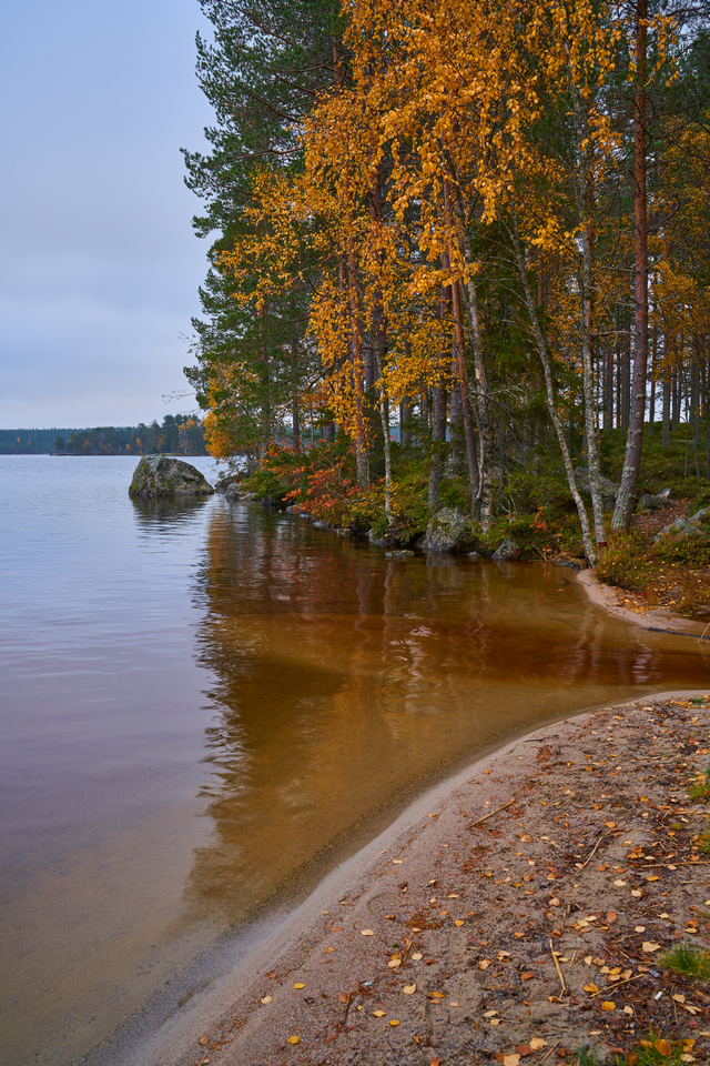 Laowa 35mm f0.95_9w.jpg