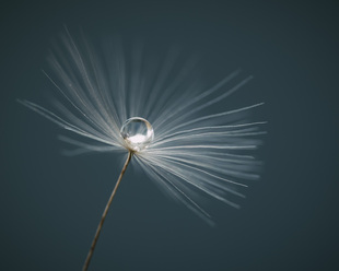 Christina Ericsson.jpg