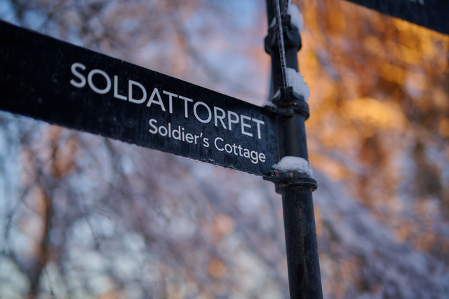 Nikon Z 50 f1.2_4w.jpg