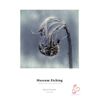Museum Etching 350g A2, 25 Ark