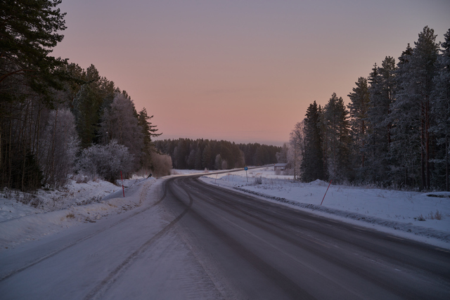 Nikon Z 24-120mm_37w.jpg