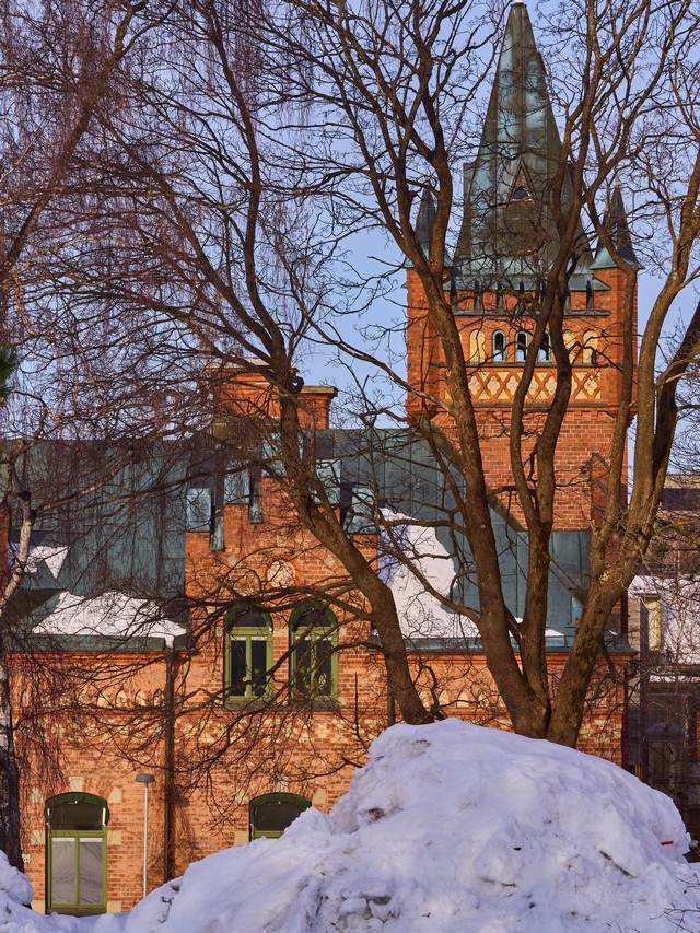 OM System 90mm macro_11w.jpg