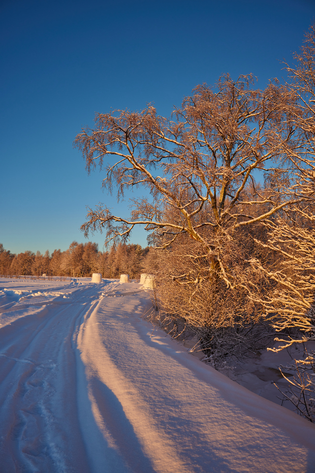 Canon RF 24mm f1.8_24w.jpg