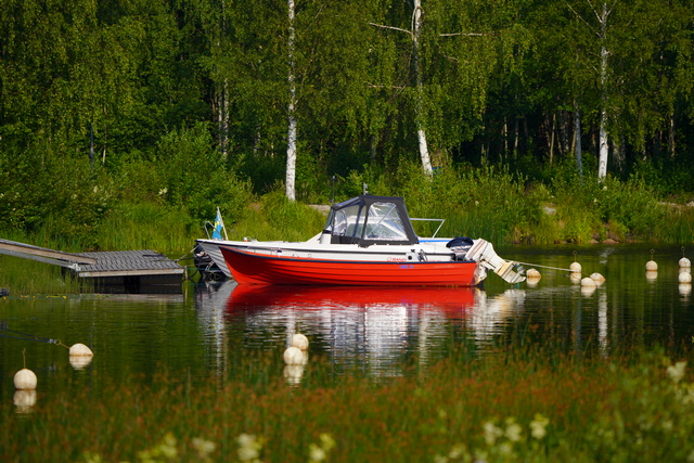 sony_fe_200 600mm_26w.jpg