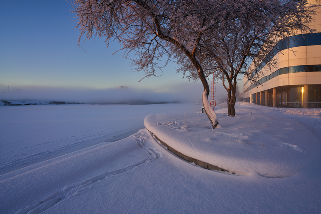 Tamron 20-40mm_21w.jpg