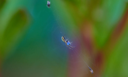 Nikon Z 105 f2.8_4_blogg.jpg