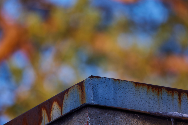 Canon RF 800 f11_3w.jpg