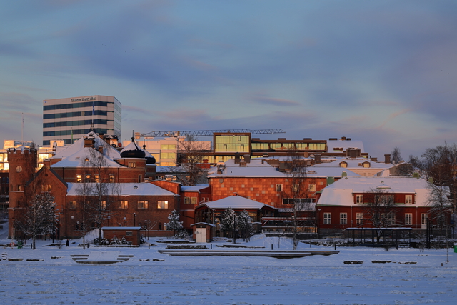 Canon EOS R3_11w.jpg