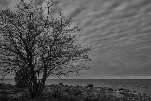 Sigma 35mm f1.4 DN_1w.jpg