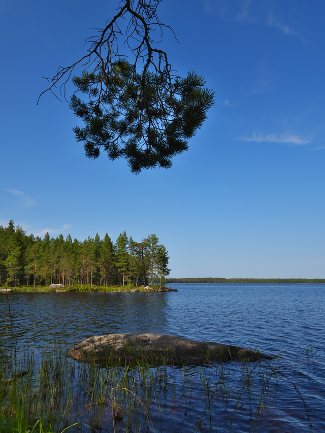 Panasonic GH5 II_3w.jpg