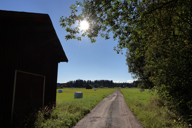 Canon RF 18-150mm_18w.jpg