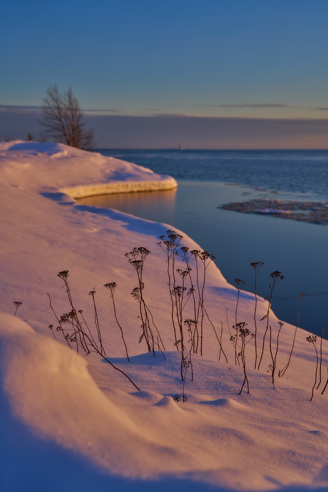 Sony FE 20-70mm f4_21w.jpg