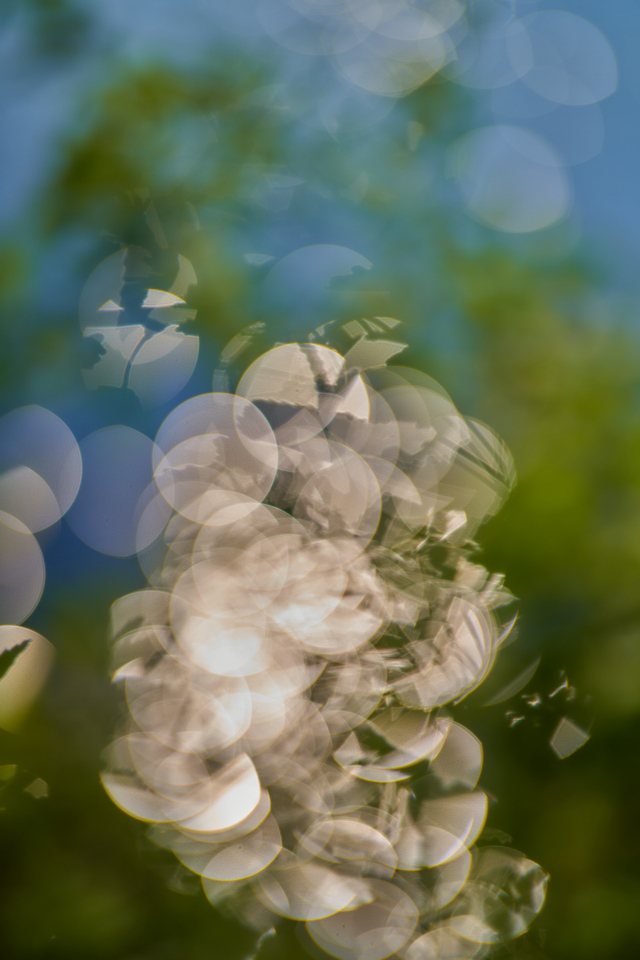 Sony 50mm f1.2_18w.jpg