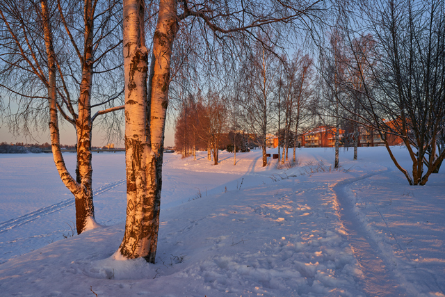 Samyang V-AF 24mm f1.8_9w.jpg