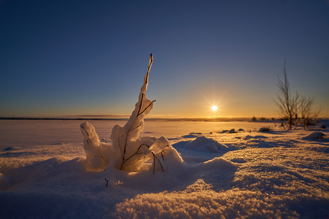 Nisi 15mm f4_24w.jpg