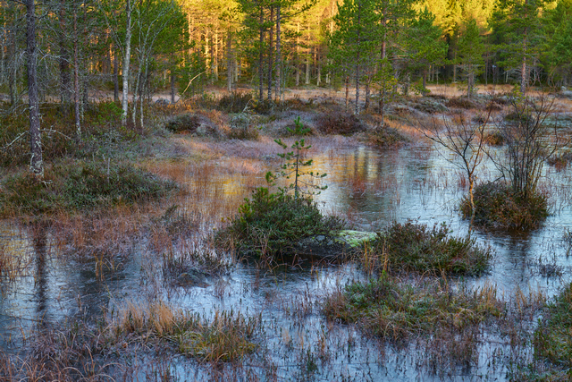 Panasonic S 50mm f1.4_4w.jpg