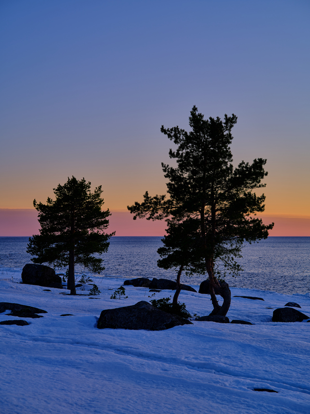 Fujifilm GF 80 f1,7_17w.jpg