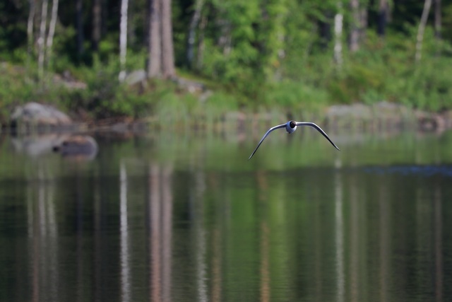 Canon EOS R7_28w.jpg