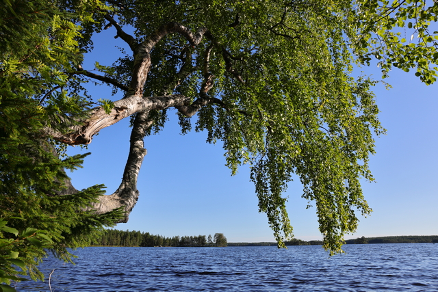 Canon EOS R5_18w.jpg