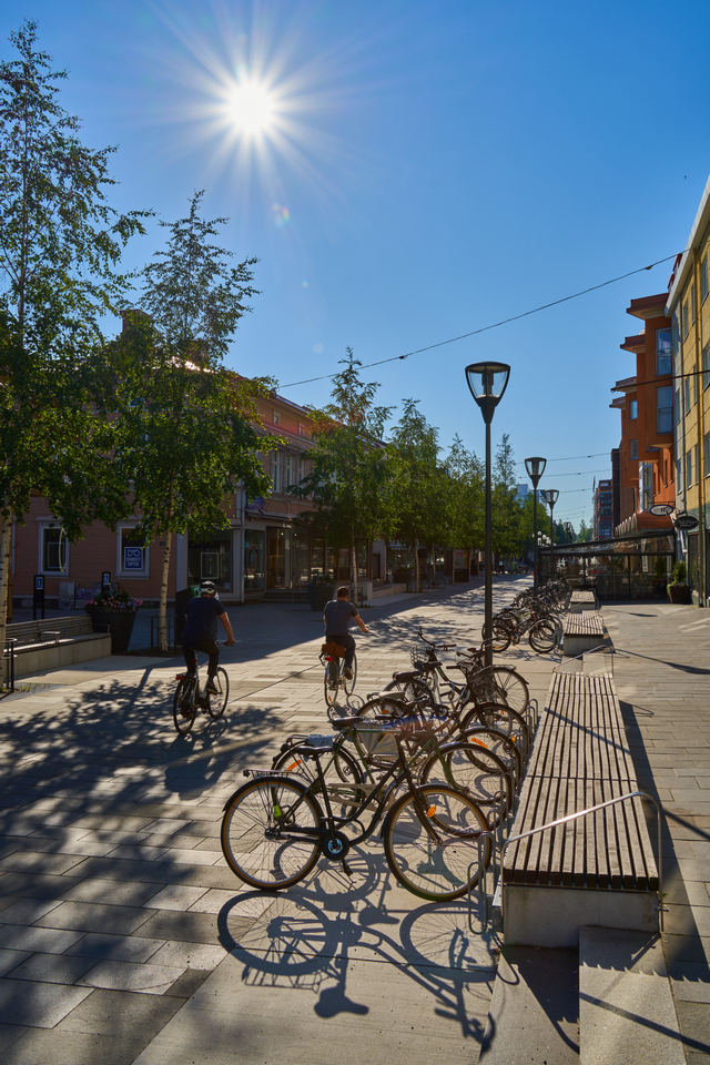 Tamron 28-200 sony_23w.jpg