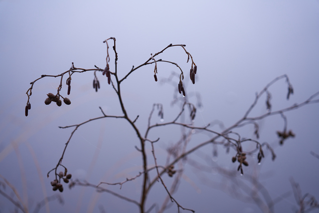 Tamron 28-75mm G2 So_27w.jpg