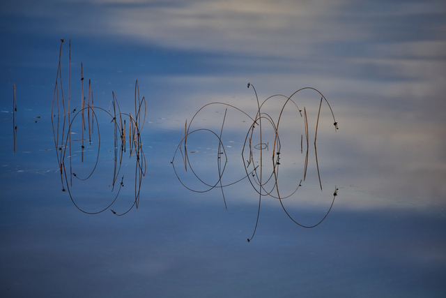 Tamron 70-300 Nikon Z_18w.jpg