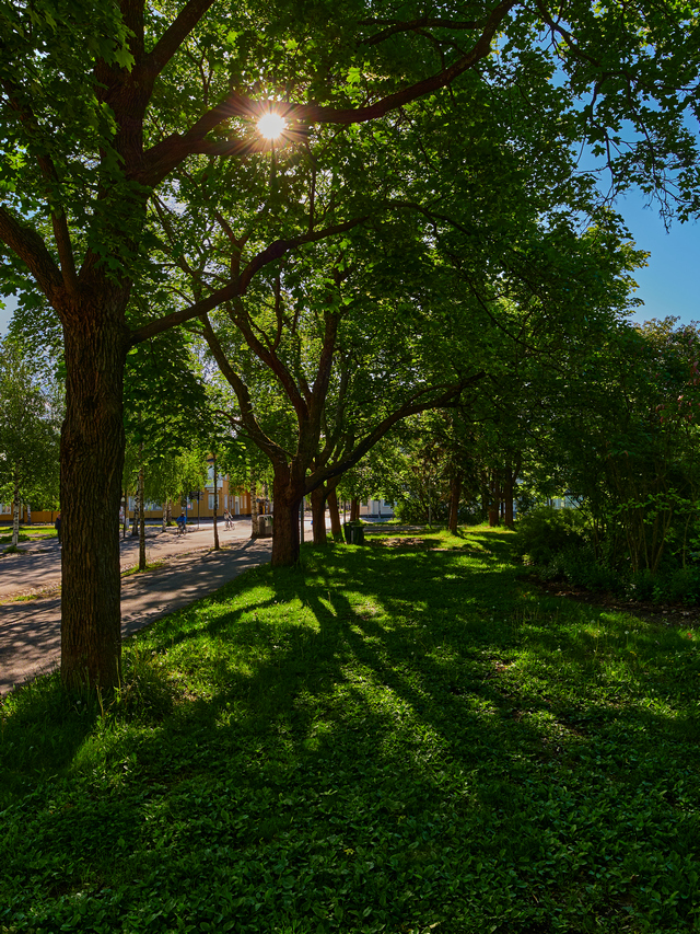 Olympus 8-25mm f4_22w.jpg