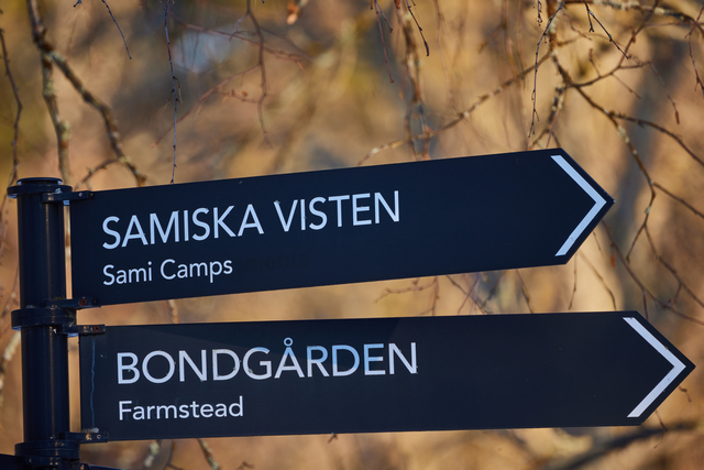 Canon RF 800 f11_4w.jpg